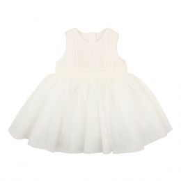 Bebe Embroidered Organza Dress Ivory